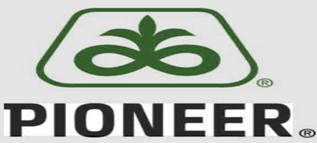 شركة التمهيد بايونير